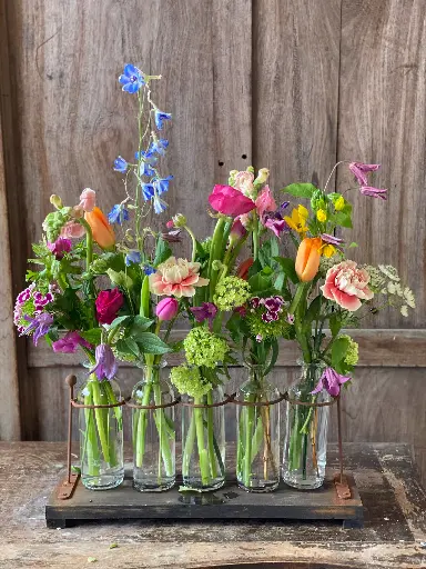 [W-CRIVIOTEMP] Violeteros con Flores de Temporada